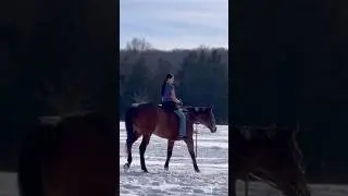TDYS RIDE WAS SM FUN!🤭❄️🌟 #starappearance #snow #bareback #winter #ottb #gelding #thorougbred #fyp