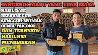 HASIL DARI🟠BERSUNGUH SUNGGU NYIMAK CENEL PAK OKO ALHAMDULILLAH JANGKRIK MADUNYA KLIHATAN BANYAK 👍👍
