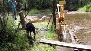 Whole roast pig on water wheel spit rotisserie