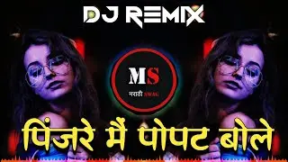 Pinjre Mai Popat Bole | पिंजरे मैं पोपट बोले | Dj Remix Song | Pinjre Mai Popat Bole Dj Song