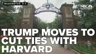 Trump administration moves to cut ties with Harvard over 'antisemitic campus culture'