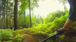 HubbelFuchs Flowtrail Freiburg FULL RUN /w Paul & Tilman