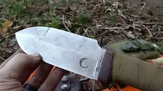 Post-Season Recap on the Wild Harvest Foraging Tool