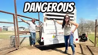 Too Dangerous Time To Go!