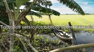 Qu&eacute; dice la Biblia acerca de Dalmacia - Todos los vers&iacute;culos b&iacute;blicos sobre Dalmacia