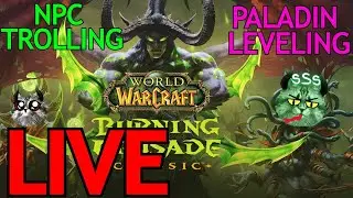 [MUSIC MUTED] WOW CLASSIC - BGS AND LEVELING PALADIN - NPC TROLLING