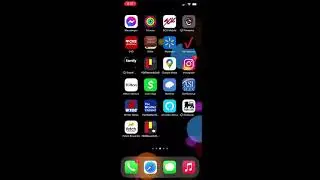 PBIS App & Store Purchases