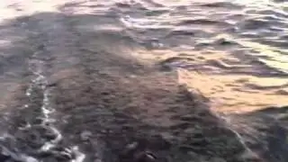 Farr 40 Offshore