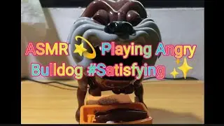 ASMR 💫 Let's Play angry Bulldog 🐕&zwj;🦺🦮 #Satisfying