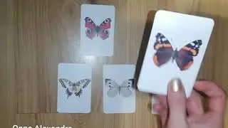 Material educativ: tipuri de fluturi din Rom&acirc;nia