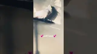 Self love 💕 #cute #parrot #cockatoo #love #selflove #valentinesday #shorts #foryou #trending #viral