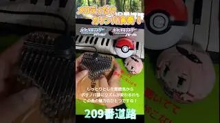 【ポケットモンスター】209番道路をカリンバで弾いてみた！ Pok&eacute;mon Route 209 Kalimba cover #shorts #ポケモン #任天堂 #弾いてみた