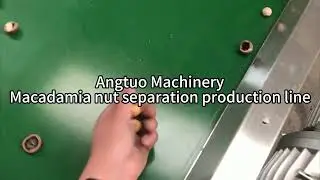 Automatic Macadamia Nut Cracking & Shell Kernel Separator Line | Nut Processing Solution