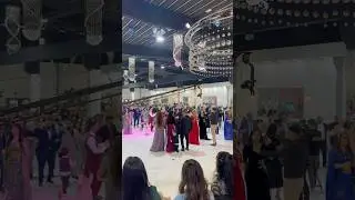 Ruken haco tui ke&ccedil;elo @rukenhaco-8740