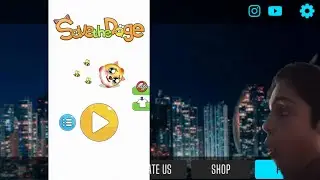 I am Playing to Save the doge 100# honey bee attack to dog  