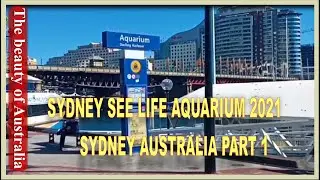 Sydney Sea life Aquarium 2021 | Sydney Aquarium Australia | Walking around Sydney Aquarium |Part 1 |