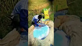 yaar gamdo gama ke #youtube shorts