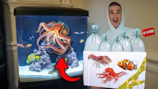 I Bought Tons of SEA CREATURES For My OCTOPUS Aquarium!!