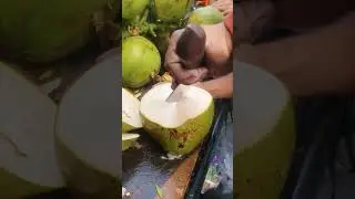 The Ultimate Coconut Cutting Experience A Refreshing Street Food Delight!