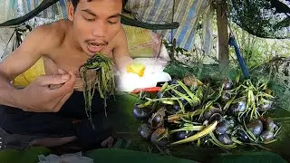 Find snails to cook and eat very delicious. Episode 12 @NoobInTheGardenRoblox