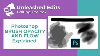 Photoshop Brush Opacity and Flow Explained - Dog Photography Editing