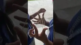 Nepali traditional game top