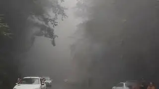 Driving in a thick fog
