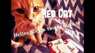 Обзор крафтового пива Drunkel Helles Bock от Харьковской пивоварни Red Cat