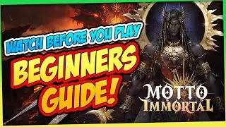 Ultimate Starter Guide for MOTTO IMMORTAL