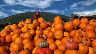 Fruit Stands in Creston, BC | Fresh Local Produce Stop on an Okanagan Road Trip (4K)