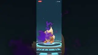 SHADOW GROWLITHE EVOLUTION IN POKEMON GO!!! #pokemongo #shadowpokemon #growlithe #arcanine