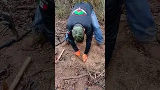 Pocos Pero locos, detecci&oacute;n al 💯