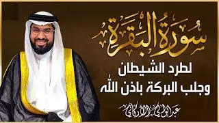 سورة البقرة لتحصين وحفظ المنزل وطرد السحر والحسد والعين والمس - عبدالولي الاركاني Surat Al-Baqara