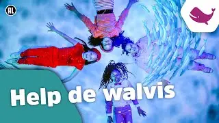 🎵Kinderen voor Kinderen - Help de walvis (Offici&euml;le Zapp Your Planet videoclip)
