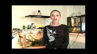 Common Problems in Male & Female Iguanas