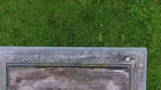 Early morning Drone Venture