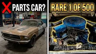 1968 mustang gold nugget part 1 golden nugget edition ?? barn find storage unit find !