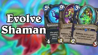 Is Evolve Shaman Back? | Wailing Caverns
