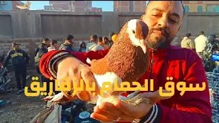 حلقة# سوق الحمام بالزقازيق. #الجمعة ١٦-١-٢٠٢٦