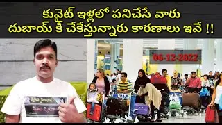 కువైట్ ఇళ్లలో పనిచేసే|| Kuwait expats dubai||Praba Gulf News
