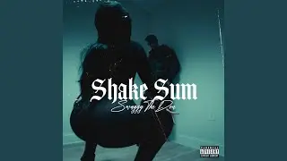 Shake Sum