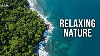 Breathtaking Nature Views from Above🌍 | Relaxing Drone Footage #nature #relaxing