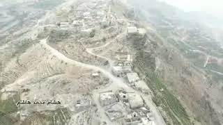 الشاهل