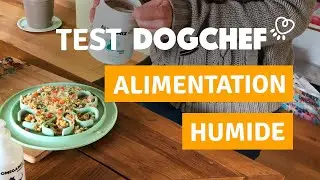 DOG CHEF : TEST, AVIS & CODE PROMO DE -30% (ALIMENTATION FRAICHE POUR CHIEN)