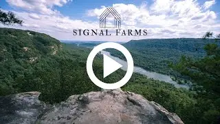 Signal Farms in beautiful Signal Mountain, Tennessee