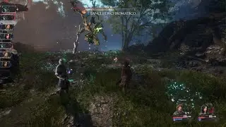 Lancelier cromatico