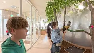 Animal Cafe Tokyo 2026