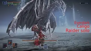 Nightreign - Everdark Caligo Raider crater solo