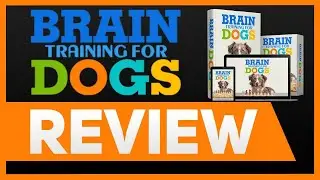 Brain Training For Dogs Review -  Watch This Before You Buy!