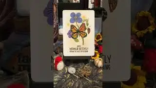 Карта дня из колоды оракула ASMR: &laquo;Гимн Земли&raquo;.